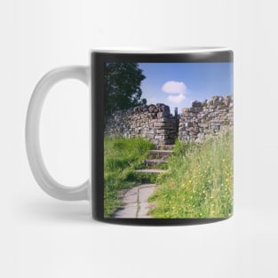 Stone Walls and Wildflowers at Muker Yorkshire Dales Mug